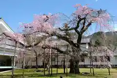 醍醐寺(京都府)