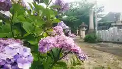 秋葉神社の自然