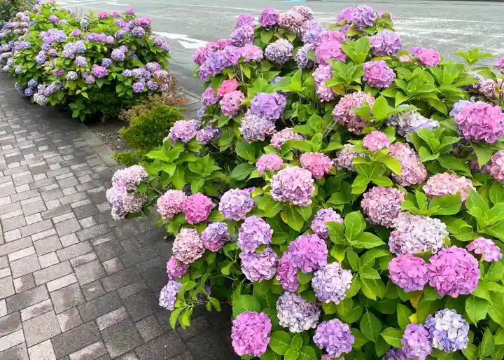 日枝神社(静岡県)