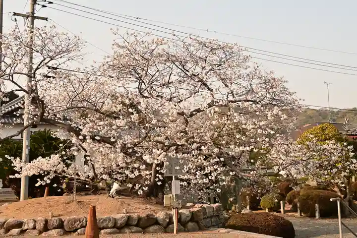 実報寺(愛媛県)