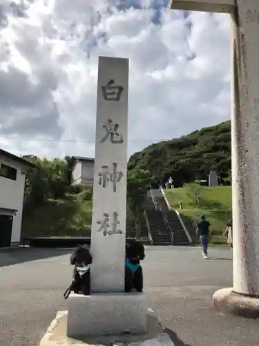 白兎神社の建物その他