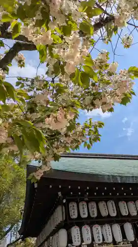 白峯神宮(京都府)