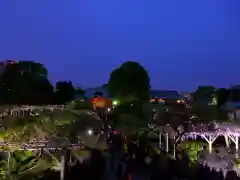 亀戸天神社の景色