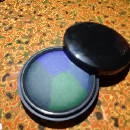 日蓮宗 総本山 塔頭 定林坊(じょうりんぼう)(山梨県)