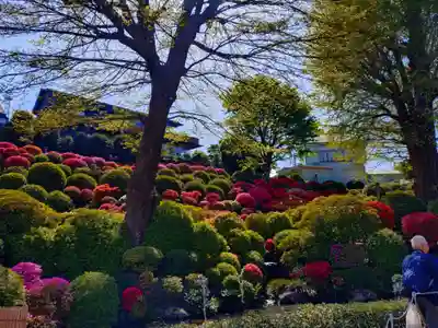 根津神社(東京都)