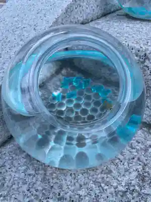 伊和志津神社(兵庫県)