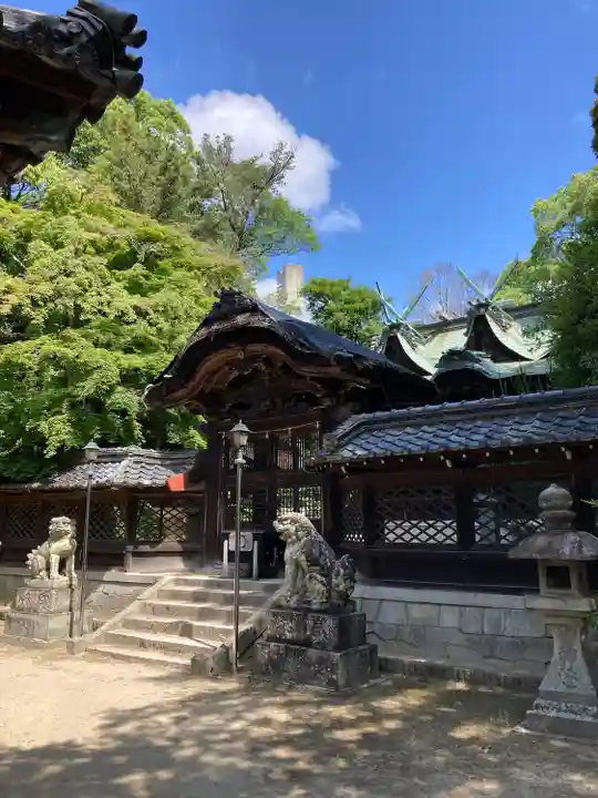 伊居太神社の本殿・本堂