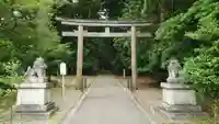 若狭彦神社(上社)の鳥居