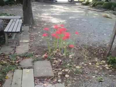 安養寺(神奈川県)