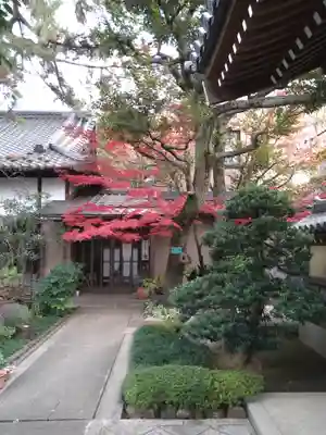 玄国寺のその他建物