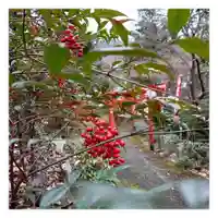 岐阜稲荷山本社(岐阜県)