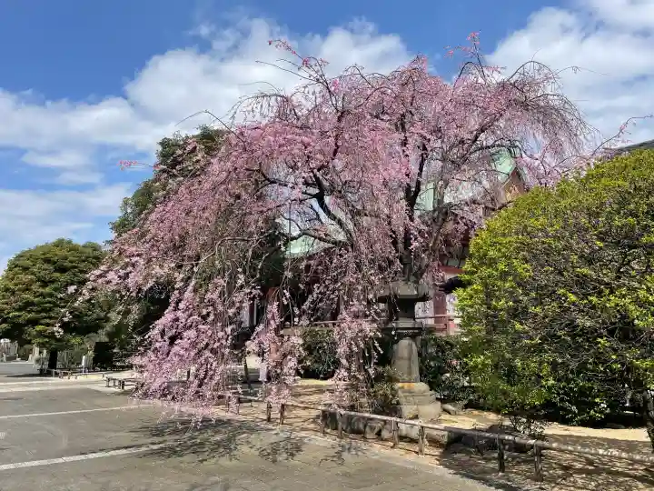 吉祥寺の{uncategorized: "未分類", other: "その他", undefined: "問題あり", building: "その他建物", grave: "お墓", sacred_gate: "鳥居", guardian: "狛犬", statue: "像", buddha: "仏像", history: "歴史", nature: "自然", garden: "庭園", animal: "動物", pagoda: "塔", temizu: "手水舎", mountain_gate: "山門・神門", sanctuary: "本殿・本堂", subordinate: "末社・摂社", art: "芸術", scenery: "景色", jizo: "地蔵", ema: "絵馬", goshuin: "御朱印", omikuji: "おみくじ", items: "授与品その他", amulet: "お守り", goshuincho: "御朱印帳", eats: "食事", festival: "お祭り", votive_dance: "神楽", shichigosan: "七五三参", wedding: "結婚式", experience: "体験その他", initially: "初詣", around: "周辺", anti_infection: "感染症対策"}