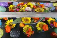 豊景神社の手水舎