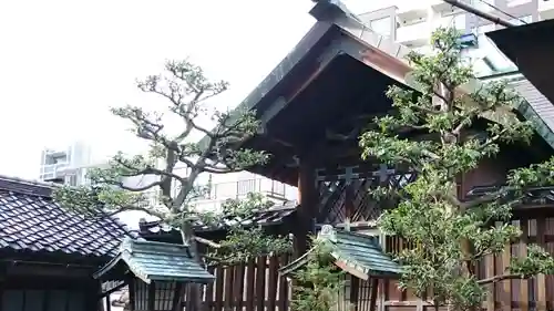 市姫神社の本殿