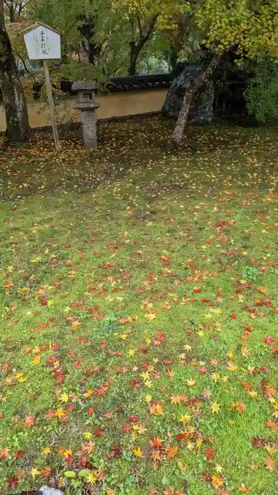 十輪寺(京都府)