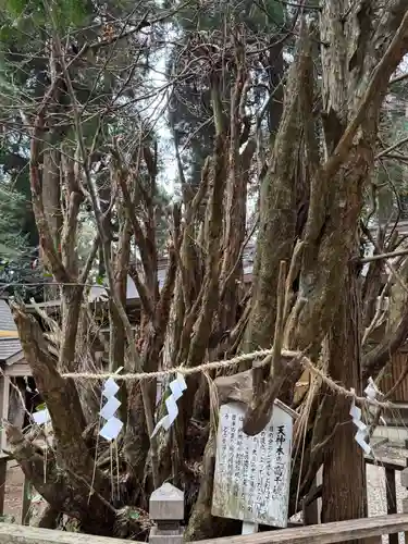 幣立神宮(熊本県)