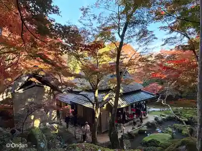 教林坊(滋賀県)