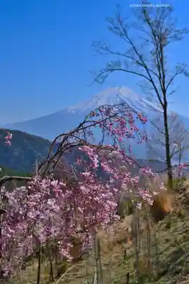 富士山遙拝所（天空の鳥居）(山梨県)