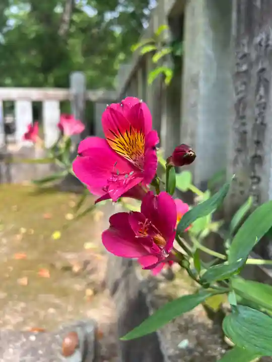 手力雄神社(岐阜県)