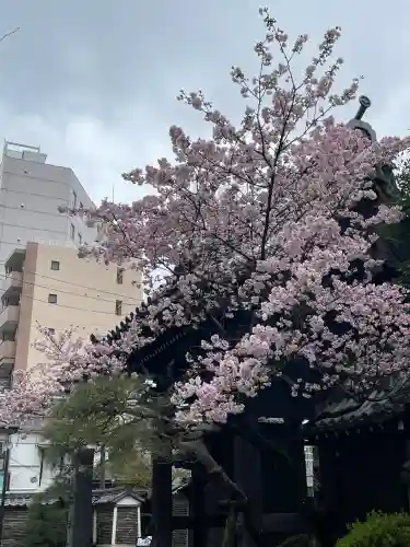 吉祥寺(東京都)