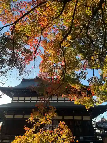 関善光寺(岐阜県)