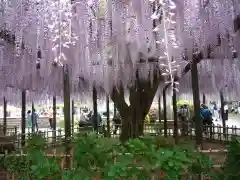 玉敷神社(埼玉県)