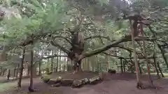 真山神社(秋田県)