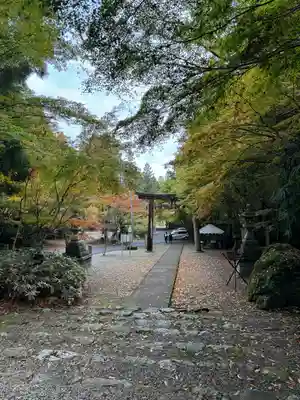 大矢田神社(岐阜県)