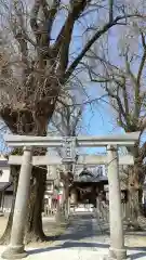 辛崎神社(熊本県)