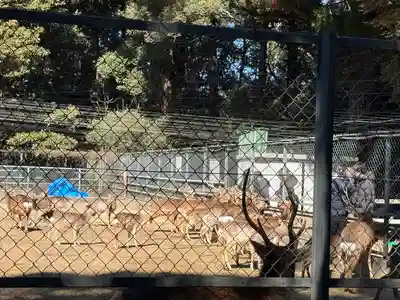 鹿島神宮(茨城県)
