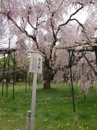 賀茂別雷神社（上賀茂神社）の庭園