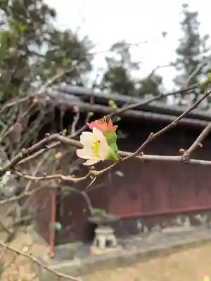 大東神社の自然