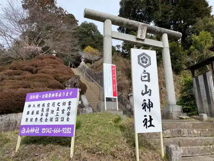 白山神社の鳥居