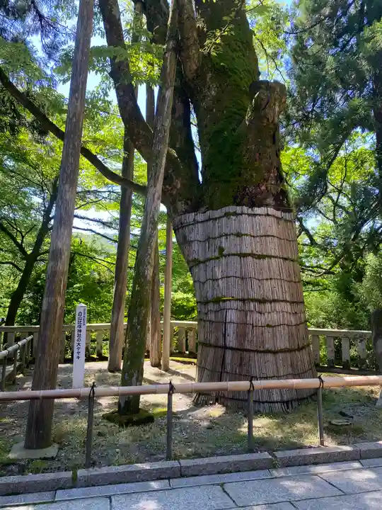 白山比咩神社(石川県)