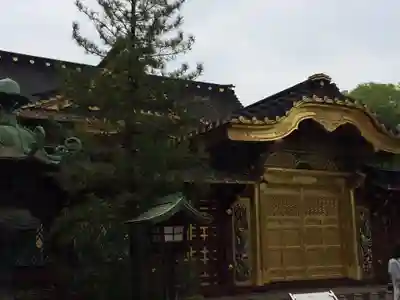 上野東照宮(東京都)