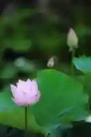 浄土寺(兵庫県)