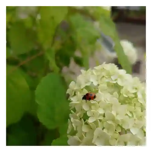 岐阜稲荷山本社(岐阜県)