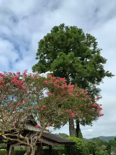 大休院の景色