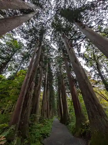 戸隠神社奥社の自然