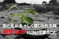 信行寺(福岡県)