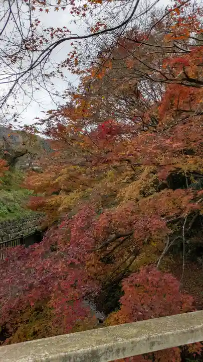 服部神社(京都府)