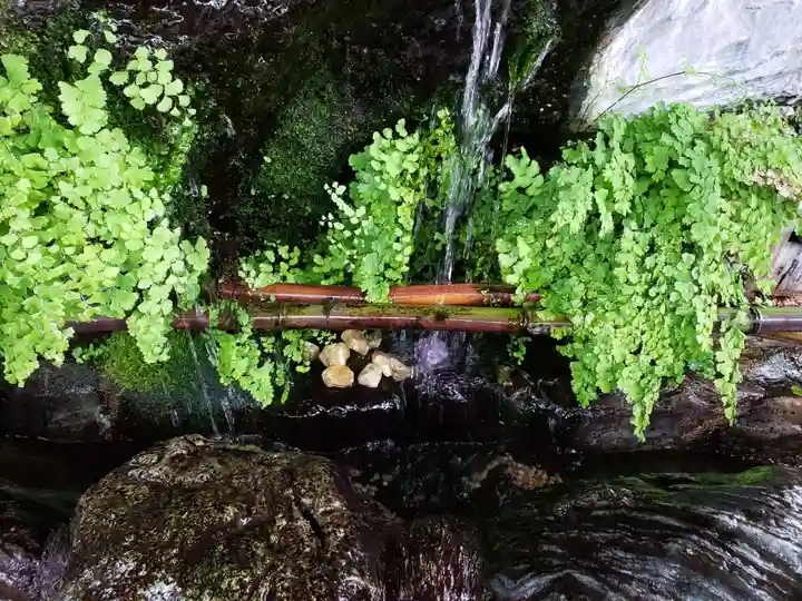 馬橋稲荷神社の手水舎