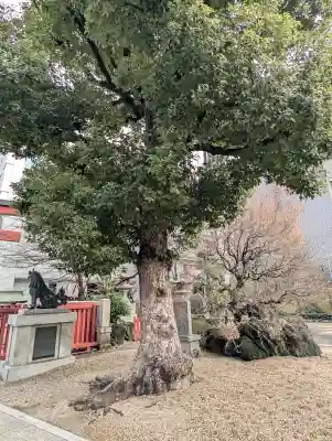 御霊神社の{uncategorized: "未分類", other: "その他", undefined: "問題あり", building: "その他建物", grave: "お墓", sacred_gate: "鳥居", guardian: "狛犬", statue: "像", buddha: "仏像", history: "歴史", nature: "自然", garden: "庭園", animal: "動物", pagoda: "塔", temizu: "手水舎", mountain_gate: "山門・神門", sanctuary: "本殿・本堂", subordinate: "末社・摂社", art: "芸術", scenery: "景色", jizo: "地蔵", ema: "絵馬", goshuin: "御朱印", omikuji: "おみくじ", items: "授与品その他", amulet: "お守り", goshuincho: "御朱印帳", eats: "食事", festival: "お祭り", votive_dance: "神楽", shichigosan: "七五三参", wedding: "結婚式", experience: "体験その他", initially: "初詣", around: "周辺", anti_infection: "感染症対策"}