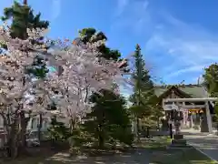 烈々布神社の建物その他