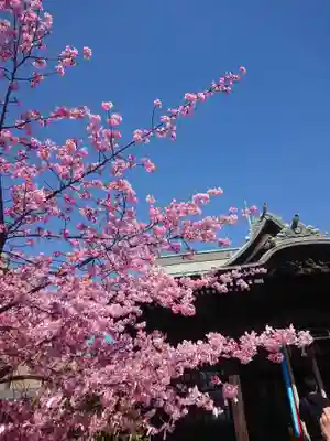 桜神宮(東京都)