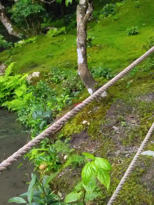 南禅院(京都府)