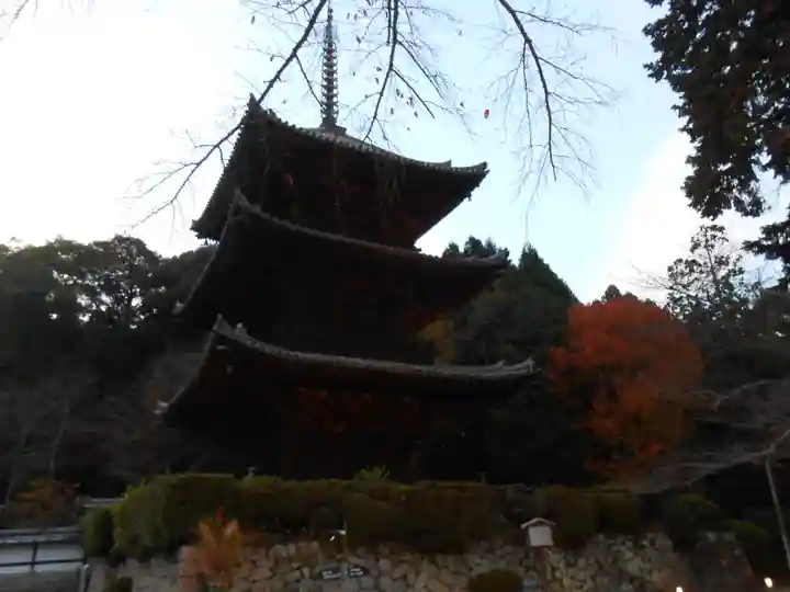 園城寺(三井寺)(滋賀県)