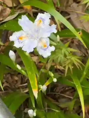 円覚寺(神奈川県)