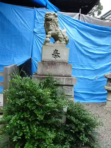 植田八幡神社の狛犬