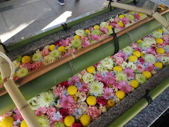 富岡八幡宮(東京都)